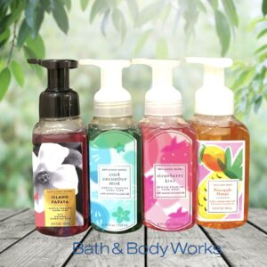 Bath Body Works gentle clean foaming hand soap mountainside