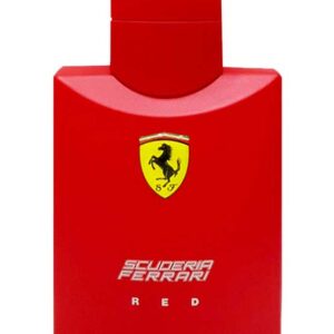 Guayana Trendy - Product 16074